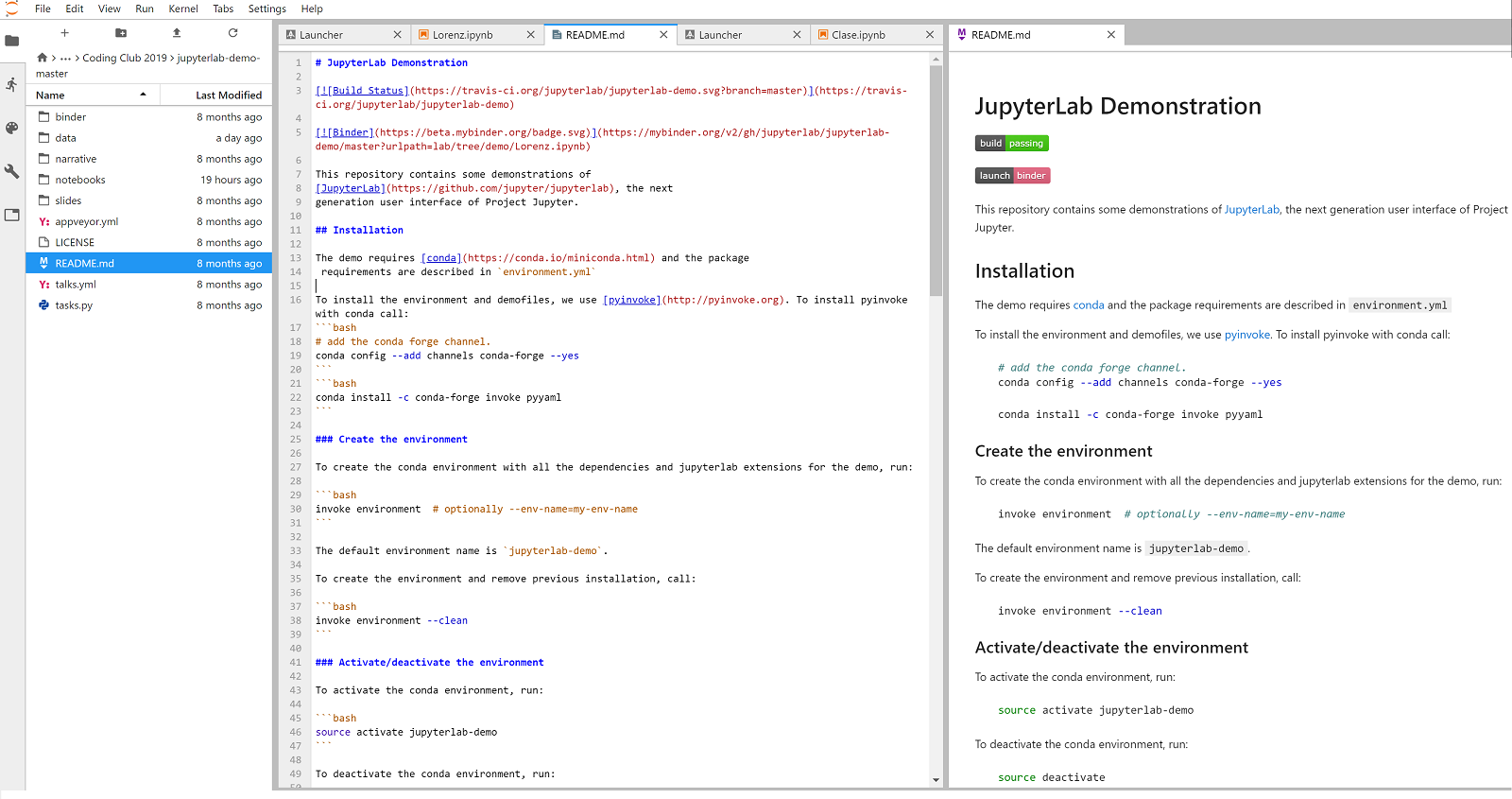 jupyter notebooks